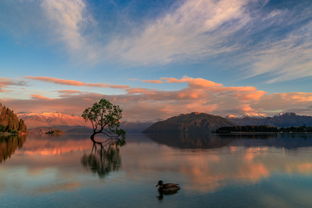 追光南十字星下 2018新西蘭攝影自駕游手記（更新中）