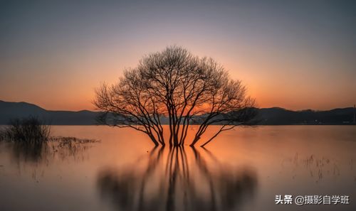 6個風光攝影核心技巧 從拍攝到手機修圖，助你輕松拍出大片